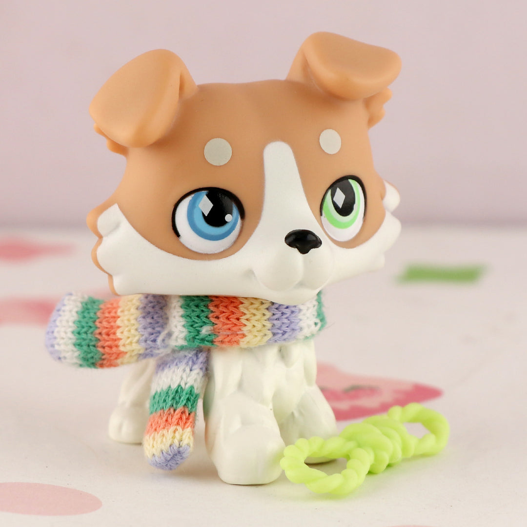 lps vanilla collie