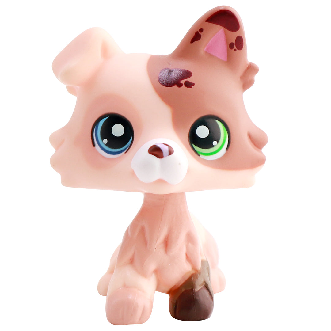 LPS Butter Collie