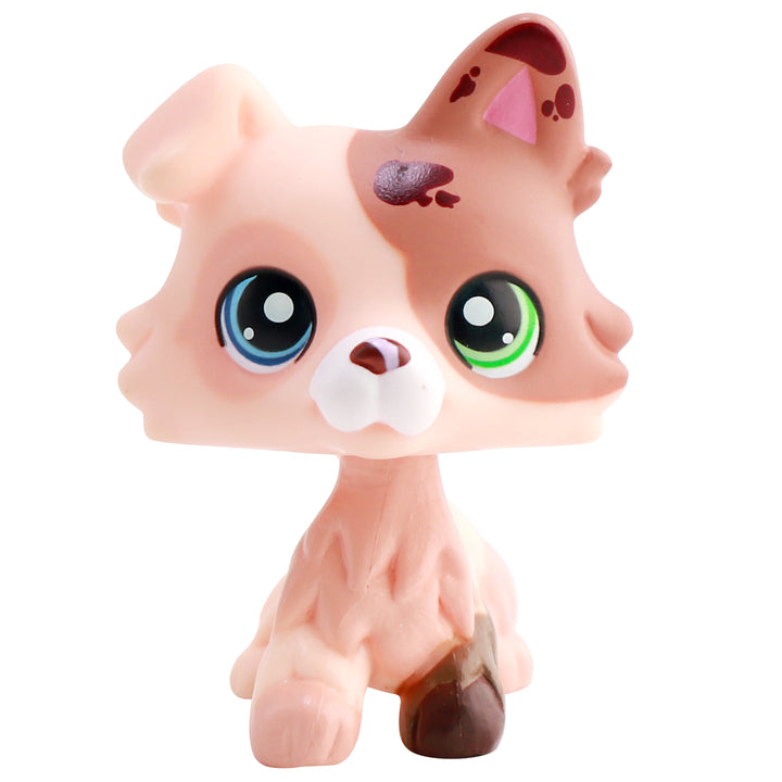 LPS Butter Collie