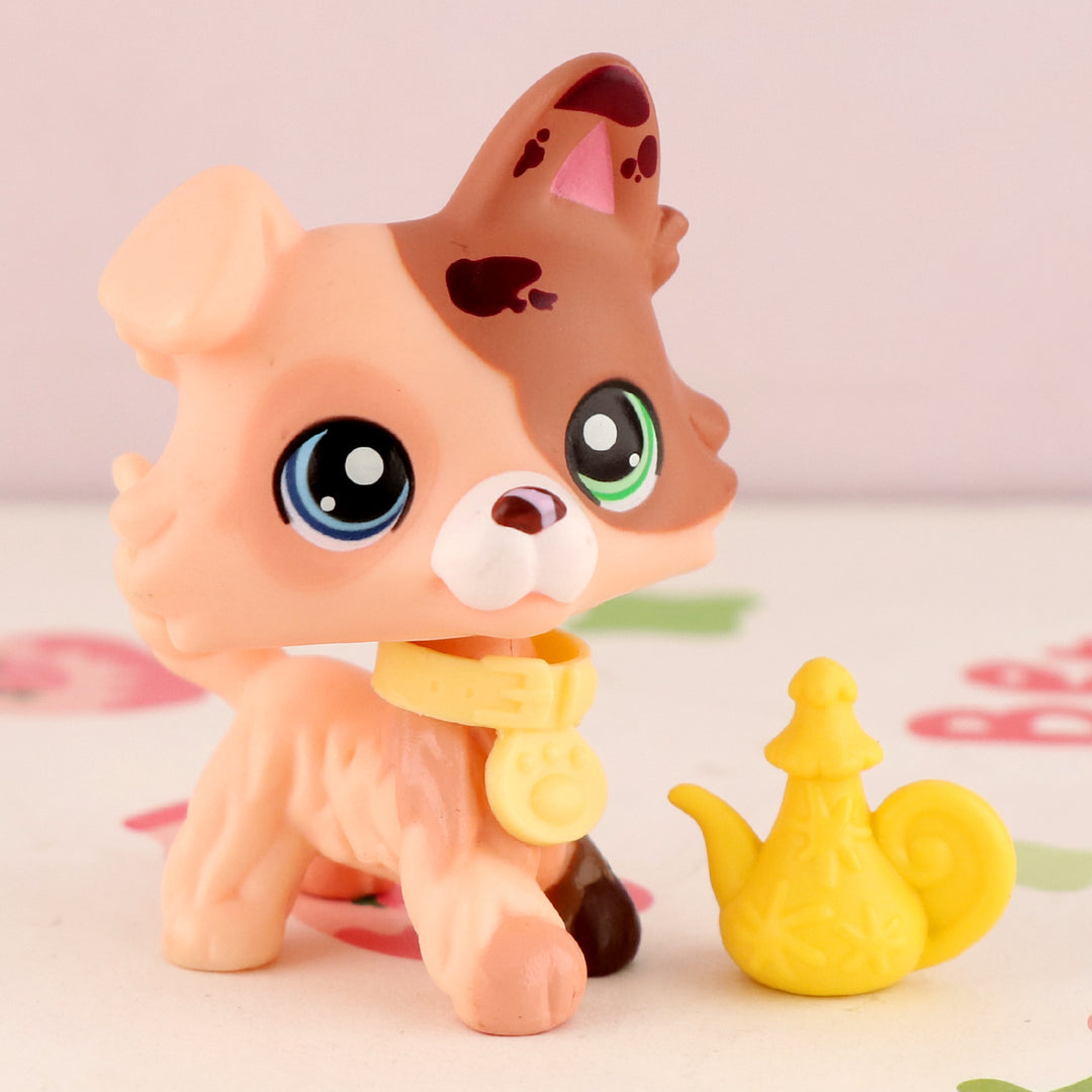 lps butter collie